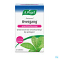 A. Vogel A.vogel Famosan Menopause Maintien Poids Comp 60