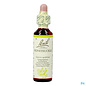 Bachflowers Bach Flower Remedie 16 Honeysuckle 20ml