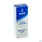 WELEDA WELEDA SALINE TANDP BLAUW TANDSTEEN 75 M