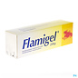 Flenpharma Flamigel Tube 250g