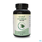 FYTOBELL Fytobell Chlorella 1000mg Tabl 90