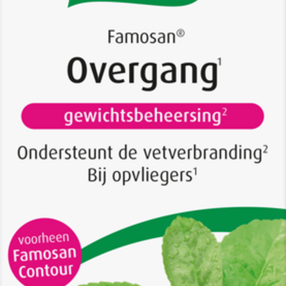 A. Vogel A.vogel Famosan Overgang Gewichtsbeheers.tabl 60