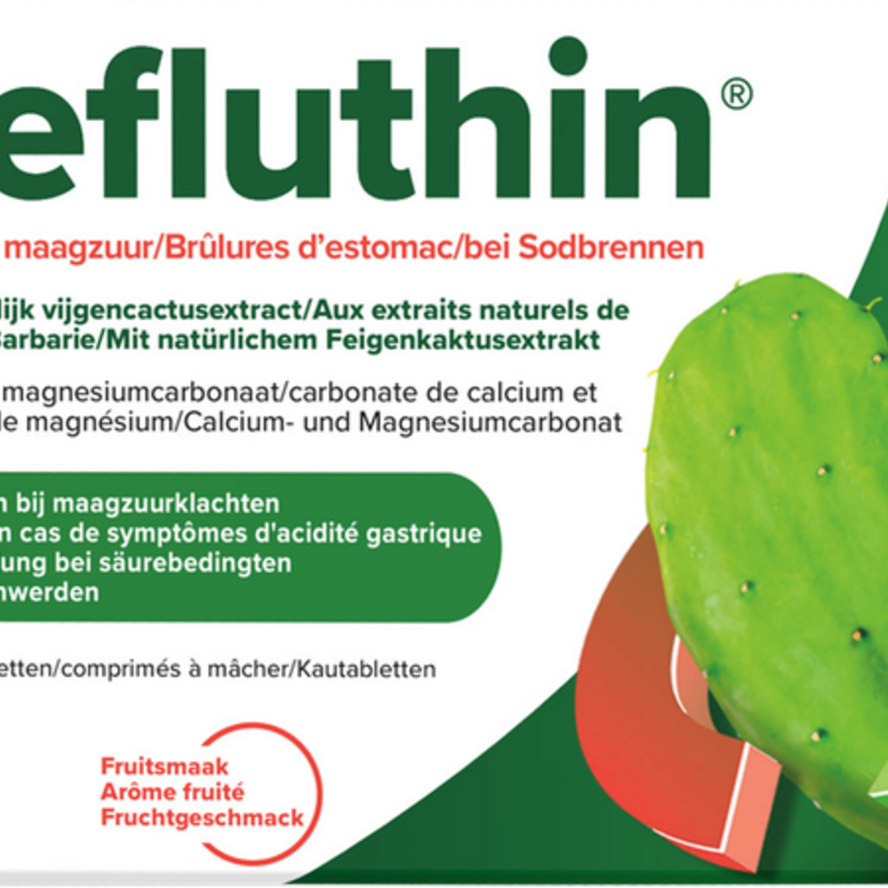 Schwabe Refluthin Fruit Kauwtabl 48