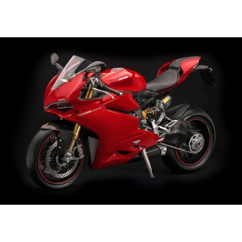 Pocher Pocher Ducati Superbike 1299 Panigale S Pocher Pocher Ducati Superbike 1299 Panigale S