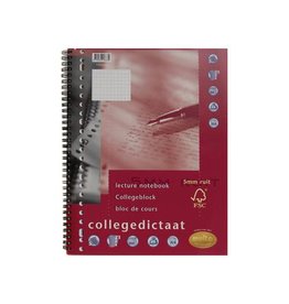 Multo Multo collegedictaat A4, geruit 5mm, 23-gaatsperf.