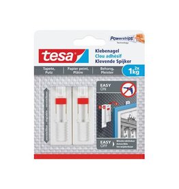 Tesa Tesa Kleefspijker Regelb 1Kg Bl2 [1st]