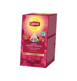 Lipton Lipton thee Exclusive Selection, Bosvruchten, doos van 25 zakjes