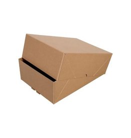 Cleverpack Paraatdoos A4 Hoog 307X220X108 [1st]