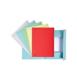 Exacompta Exacompta dossiermap Foldyne ft 24 x 32 cm (voor ft A4), geassorteerde kleuren, pak van 10 stuks