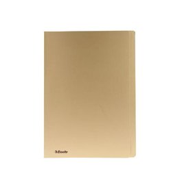 Esselte Pak 100Xhemdmap Geel 300G.A4 [1st]
