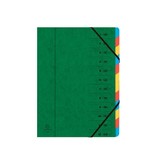 Exacompta Exacompta Sorteermap 12-delig, groen