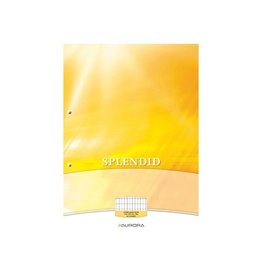 Aurora Aurora Splendid cursusblok, ft A4, 70 g/m², 2-gaatsperforatie, commercieel geruit, 100 vel