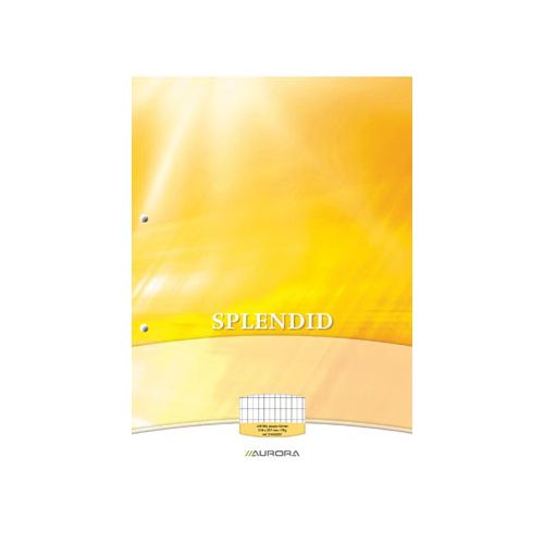 Splendid Aurora Splendid cursusblok, ft A4, 70 g/m², 2-gaatsperforatie, commercieel geruit, 100 vel