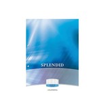 Splendid Aurora Splendid cursusblok, ft A4, 70 g/m², 2-gaatsperforatie, geruit 5 mm, 100 vel