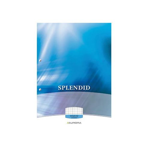 Splendid Aurora Splendid cursusblok, ft A4, 70 g/m², 2-gaatsperforatie, geruit 5 mm, 100 vel