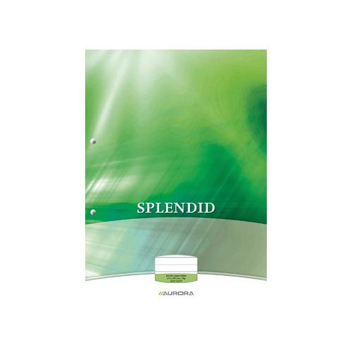 Splendid Aurora Splendid cursusblok, ft A4, 70 g/m², 2-gaatsperforatie, gelijnd, 100 vel