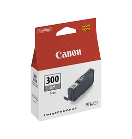 Canon Canon PFI-300GY (4200C001) ink grey 14ml (original)