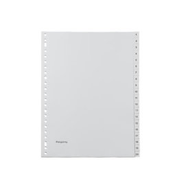 Pergamy Pergamy tabbladen, A4, 23-gaatsperforatie, set 1-20