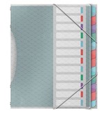 Esselte Esselte Colour'Breeze sorteermap, PP, ft A4, 12 tabs, assorti