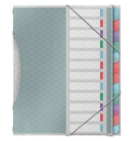 Esselte Esselte Colour'Breeze sorteermap, PP, ft A4, 12 tabs, assorti