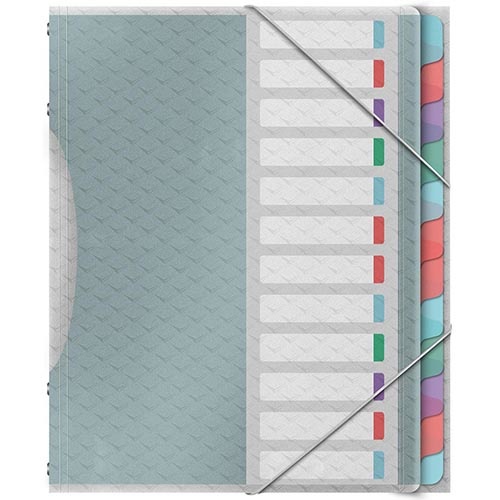 Esselte Esselte Colour'Breeze sorteermap, PP, ft A4, 12 tabs, assorti