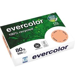Clairefontaine Evercolor A4 80G 500V Zalm [1st]