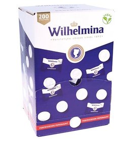 Fortuin Fortuin Wilh Pepermunt 200St [1st]
