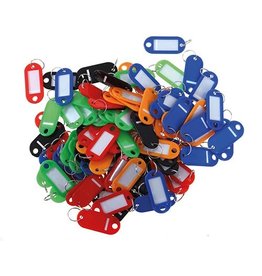 Pavo Sleutelhangers Ass 100 St [1st]