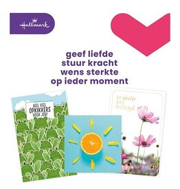 Hallmark Hallmark navulset wenskaarten, beterschap/sterkte, 12st.