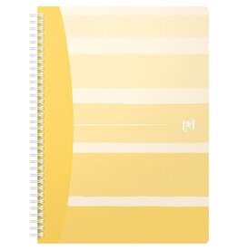 Oxford Oxford Iconics spiraalschrift, ft B5, 120 bladzijden, geruit 5 mm, geassorteerde kleuren