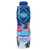 Karvan Cévitam Karvan Cévitam siroop, fles van 60 cl, bosvruchten [6st]