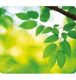 Fellowes Muismat Gerecycleerd Bladeren [1st]