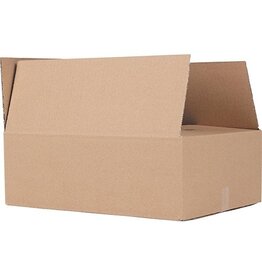 Merkloos Verzenddoos Br 305X220X100Mm [25st]