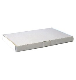 Merkloos verzenddoos, wit, ft 31 x 22 x 2,5 cm — levering per 100