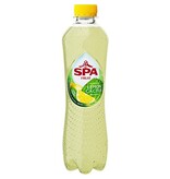 Spa Fruit Spa Fruit Lemon Cactus, fles van 40 cl, pak van 6 stuks