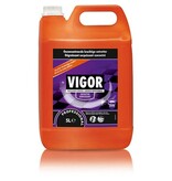 Vigor Vigor geconcentreerde ontvetter, flacon van 5 liter