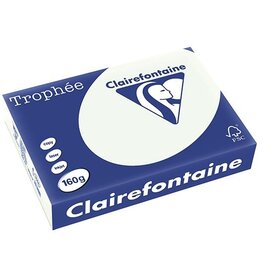 Clairefontaine Clairefontaine Trophée Pastel, A4, 160g, 250 vel, lichtgroen