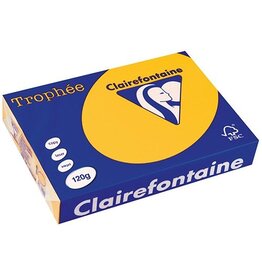 Clairefontaine Clairefontaine Trophée Intens, gekleurd papier, A4, 120 g, 250 vel, zonnebloemgeel