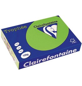 Clairefontaine Clairefontaine Trophée Intens, gekleurd papier, A4, 120 g, 250 vel, grasgroen