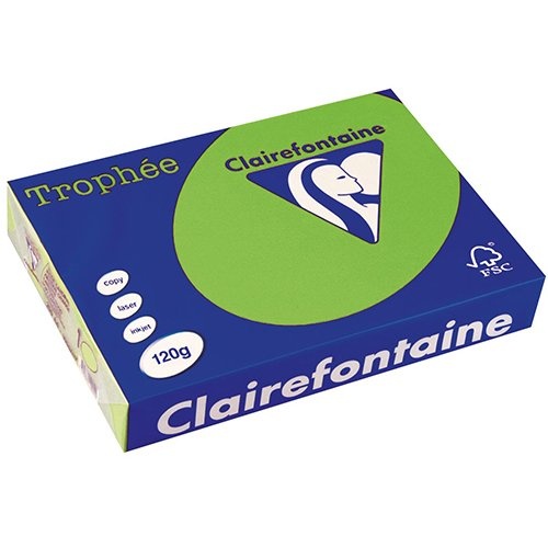 Clairefontaine Clairefontaine Trophée Intens, gekleurd papier, A4, 120 g, 250 vel, grasgroen