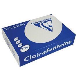 Clairefontaine Trophee A4 210G 250V Lichtgrs [1st]