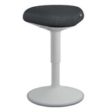 Leitz Leitz Ergo actieve Zitkruk met comfortzitting, lichtgrijs