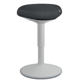 Leitz Leitz Ergo Zitkruk Lgrs [1st]