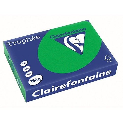 Clairefontaine Clairefontaine Trophée Intens, gekleurd papier, A4, 160 g, 250 vel, bijartgroen