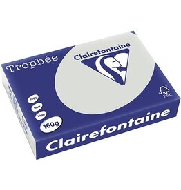 Clairefontaine Clairefontaine Trophée Pastel, gekleurd papier, A4, 160 g, 250 vel, lichtgrijs