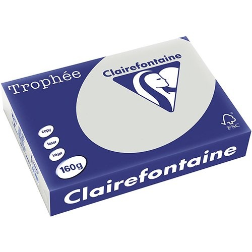 Clairefontaine Clairefontaine Trophée Pastel, gekleurd papier, A4, 160 g, 250 vel, lichtgrijs