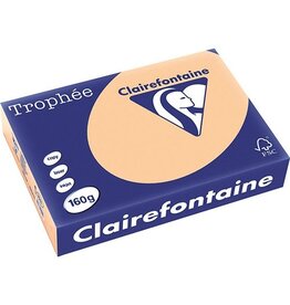 Clairefontaine Trophee A4 160G 250V Abrikoos [1st]