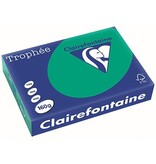 Clairefontaine Clairefontaine Trophée Intens, gekleurd papier, A4, 160 g, 250 vel, dennengroen