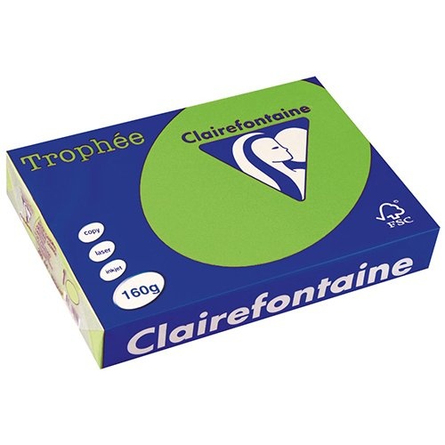 Clairefontaine Clairefontaine Trophée Intens, gekleurd papier, A4, 160 g, 250 vel, grasgroen