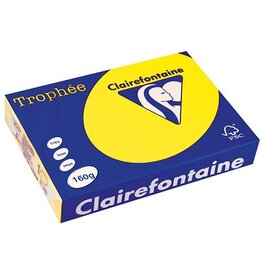 Clairefontaine Clairefontaine Trophée Intens, gekleurd papier, A4, 160 g, 250 vel, zonnegeel